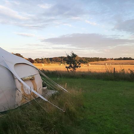 Cawston Wild Retreat酒店 外观 照片